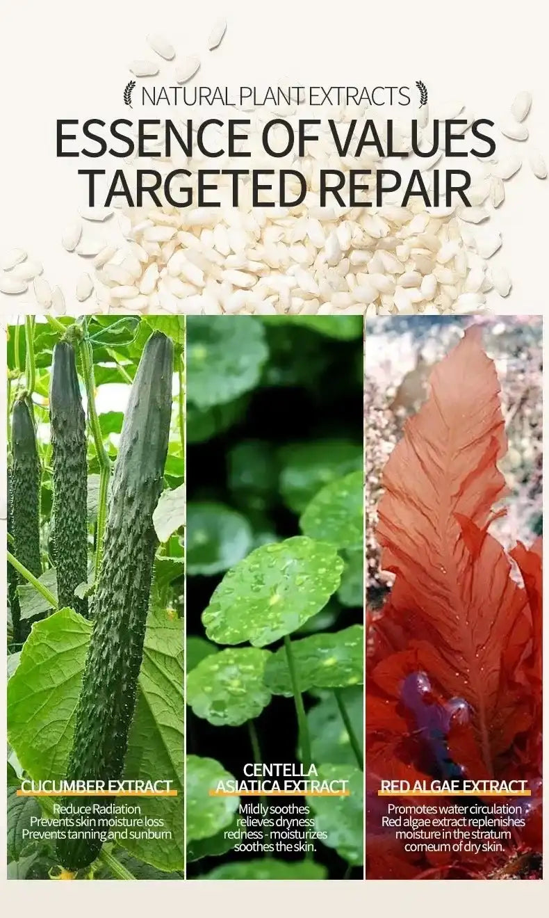 Skpradis Rice Ceramide Niacinamide Toner Deep Hydrating Brightening Facial Toner Repair Skin - princesszohal