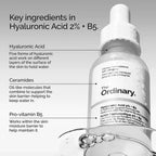 The Ordinary Hyaluronic Acid + B5 A Hydrating Support Formula with Ultra-Pure,Vegan Serum Skin - princesszohal