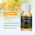 Car Perfume Refill Liquid Essential Oil Air Freshener Replenishment for Auto Natural Plant Aroma Diffuser Fragrance Humidifier