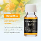 Car Perfume Refill Liquid Essential Oil Air Freshener Replenishment for Auto Natural Plant Aroma Diffuser Fragrance Humidifier