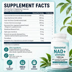 Liposomal NAD
