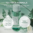 SKIN1004 Tea-Trica Purifying Toner Madagascar Centella Asiatica Pore Carel Blackhead Remover Korean Skin Care - princesszohal